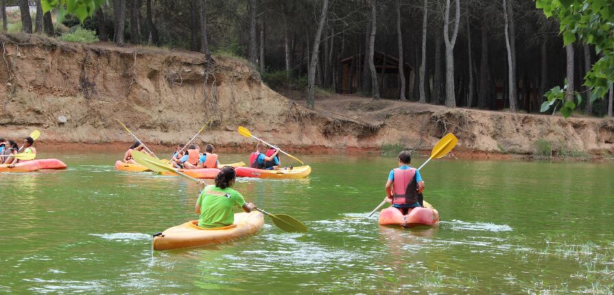 Ventajas de los programas educativos en la naturaleza