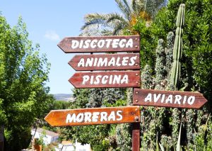 Campamentos de verano Tarihuela.