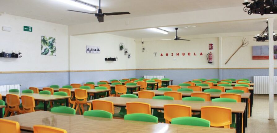 Alimentación saludable para tus hijos en los campamentos de verano
